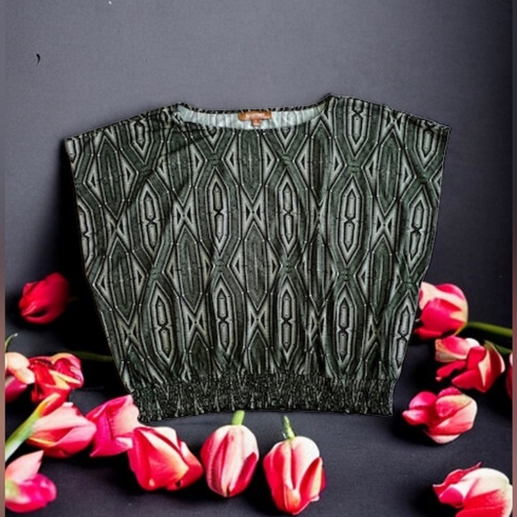 Ellen Tracy Blouse Ellen tracy green multicolors stamps top blouse size Large - Picture 4 of 16